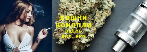 тгк Каменск-Шахтинский