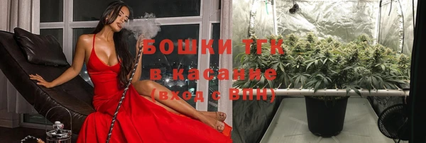 мескалин Карпинск