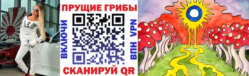 Купить закладки  Горячий Ключ  Псилоцибиновые грибы Psilocybine cubensis 